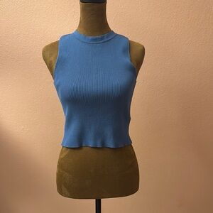Blue Sleeveless Fitted Crop Tank